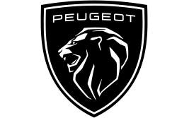 Peugeot Professional